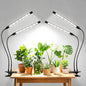 Dual-Head Clip Grow Lights for Indoor Plants, Full Spectrum Plant Lights. - size: 2 Heads(Pack 2)