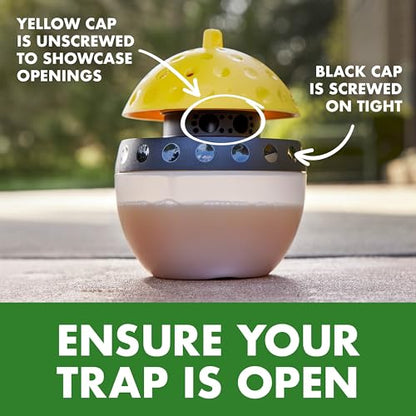 Spectracide Wasp, Hornet & Yellowjacket Trap Refill, 1 Count - size: Trap Refill (Pack of 1)