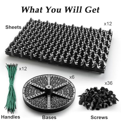 RooTrimmer Air Pruning Planters 5 Gallon 6-Pack, Sturdy Plastic Roots Control Planter Container for Fruit Vegetable Garden Orchard, Size 12"x12",Black - size: 5 Gallon-6P