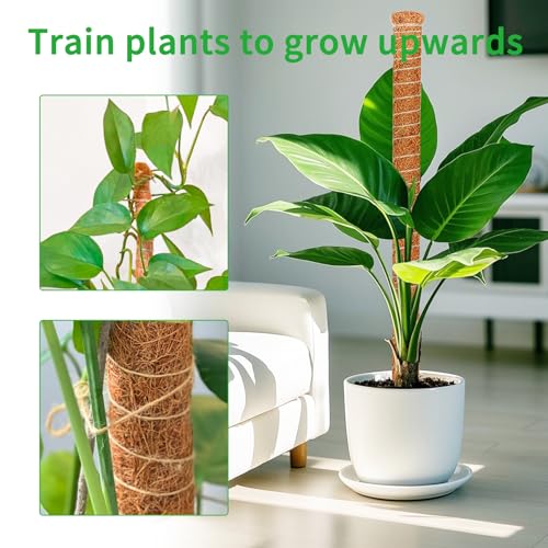 2 Pack Moss Pole for Monstera, 39in Coir Bendable Plant Support Stakes - size: 2 Pack ( 39-Inch)