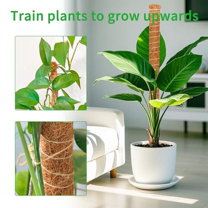 2 Pack Moss Pole for Monstera, 39in Coir Bendable Plant Support Stakes - size: 2 Pack ( 39-Inch)