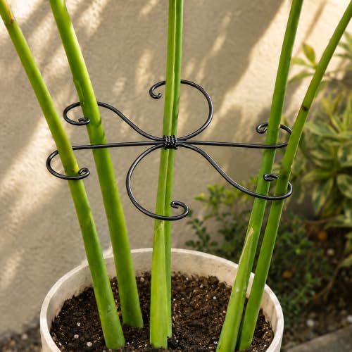 Yohsnor 5PCS Black Monstera Plant Stem Support-7.5In Durable Stabilizers - color: Black, size: 7.5IN*7.5IN