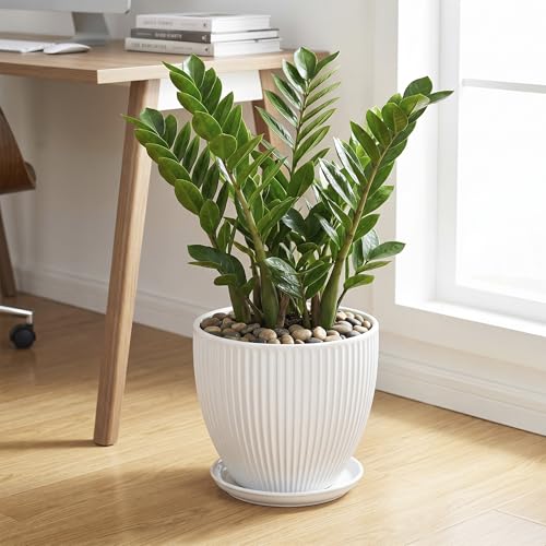 10 Inch Planter, Ceramic Plant Pots with Saucer, White - color: White, size: 10 Inch