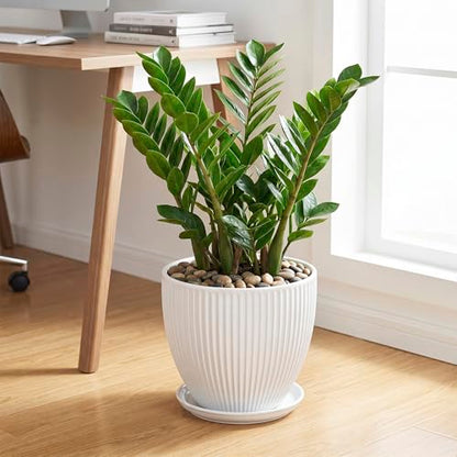 10 Inch Planter, Ceramic Plant Pots with Saucer, White - color: White, size: 10 Inch