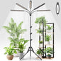 FOXGARDEN Grow Lights for Indoor Plants 5-Head Full Spectrum with Tripod Stand, Timer, Dimmable Flexible Goosenecks for Indoor Potted Plants - size: Stand-5Head