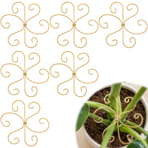 COMNICO Plant Stem Support 6 Pcs Monstera Durable Metal Plant Holder Stakes