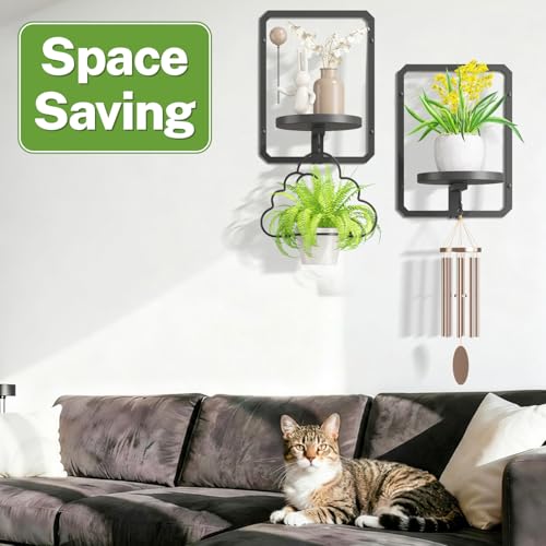 iDavosic.ly Wall Plant Picture Frame Holder Set of 2 & 2 Grow Lights, Black - color: Black with 2 Lights, size: Rectangular
