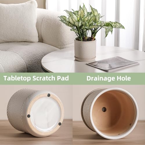5.8 Inch Ceramic Planter with Drainage Hole & Bonded Saucer - color: Beaded Embossed, size: 6 inch