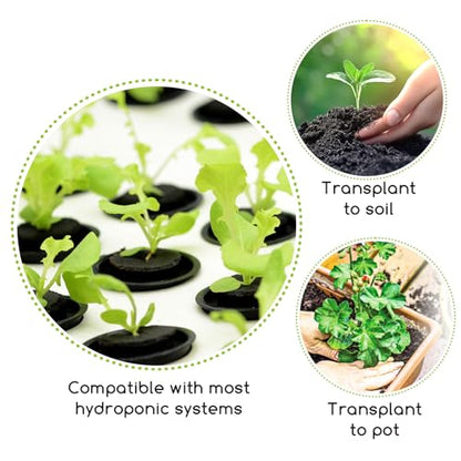 Hydroponic Grow Sponges Seed Starter Pod Kit