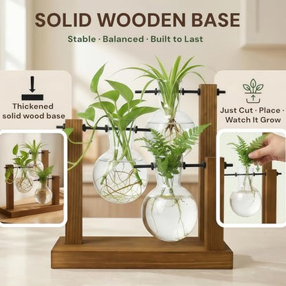 Plant Propagation Station, Wooden Stand with 3 Glass Vases