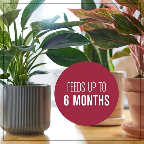 Miracle-Gro Houseplant Potting Mix, 4 qt. (2-Pack) - size: 2 Pack, style: Houseplant