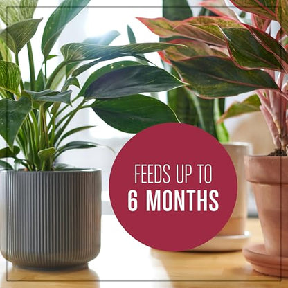 Miracle-Gro Houseplant Potting Mix, 4 qt. (2-Pack) - size: 2 Pack, style: Houseplant