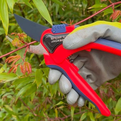 Spear & Jackson Razorsharp Large Bypass Pruning Shears, Heavy Duty Garden Clippers for Clean Cuts Ergonomic Handles and Durable Steel Blades - style: Large Bypass
