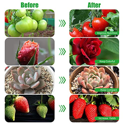 LED Plant Grow Light, Suitable for Indoor Plants, Full Spectrum Clip on Plant Growing Light with Red, Blue, Yellow Beads, 10 Brightness Levels, 3 Light Modes, 3/9/12H Auto Timer, 3 Head - size: Red+Blue+Yellow-3Head 1Pack