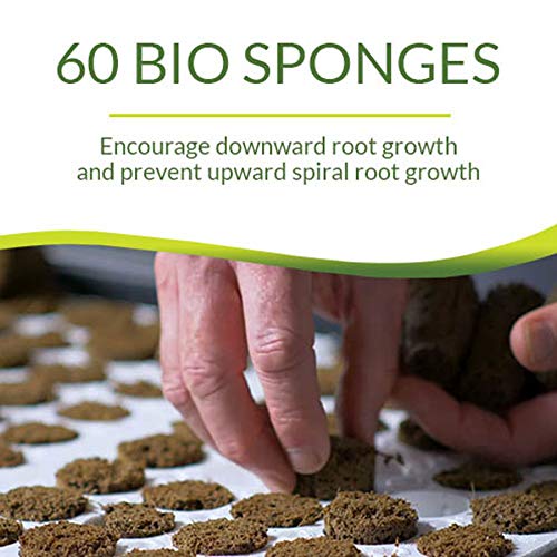 Park Seed Bio Dome Seed Starter Kit with 60 Cell Planting Block, Base Tray, Humidity Dome & 60 Bio Sponges - size: 60 Cell
