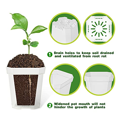 30Pcs 3" Clear Nursery Pots with Saucers, Thick Plastic Square Plant Pot - color: Clear