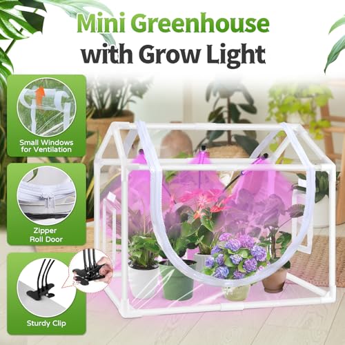 Desktop Mini Indoor Greenhouse with Adjustable Grow Light & Timer - style: 25.6" L x 15.8" W x 20" H