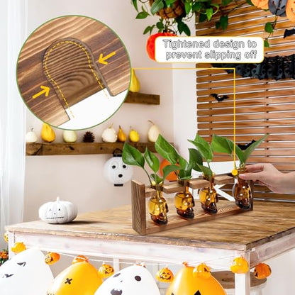 Plant Propagation Stations Halloween Skull Plant Terrarium Kit - color: Amber