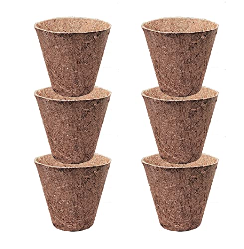Deepthi 3-Inch Coco Coir Nursery Pots – Pack of 6 Biodegradable Seed Starter Cups – Organic Coir Peat Pots for Seedlings, Herbs, Indoor/Outdoor Gardening – Eco-Friendly Planting Pots - size: 3 inch