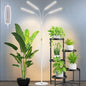 Kullsinss Floor Grow Lights for Indoor Plants with Stand, 4-Head 228 LEDs - color: 4 Heads (White)