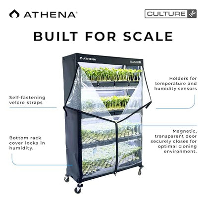 Athena Culture VPDome Propagation Dome Rack Cover for 16 Clone Trays