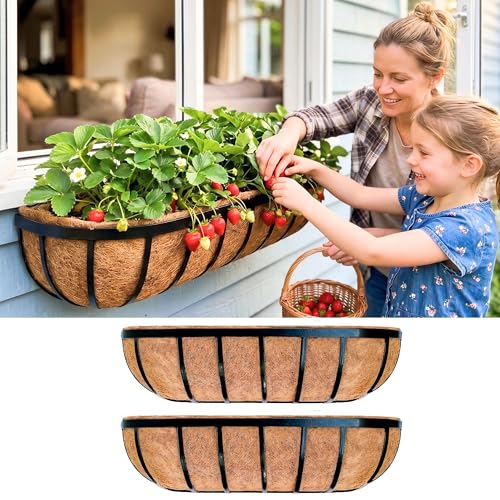 LaLaGreen Deck Railing Planter Boxes for Plants (24 Inch, 2 Pack) Black Metal Wall Planters for Outdoor Plants, Window Flower Box Deck Railings with Coco Liner, Fence Balcony Patio Porch Over Rail - size: 24" x 2