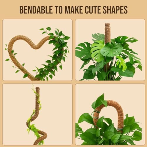 30" Moss Pole Monstera Plant Support, Plant Stakes for Indoor Plants - size: 2-Pack (30 in)