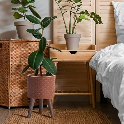 D'vine Dev Planter Pot with Wood Stand, 8 in, Terra Cotta, 88-Z-A-3 - color: Terra Cotta, size: Small