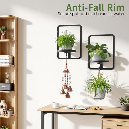 LASZOLA Plant Picture Frame Holder Shelf Wall Window Indoor, 2 Pcs Black - color: Black, size: 2