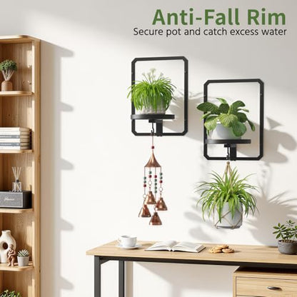 LASZOLA Plant Picture Frame Holder Shelf Wall Window Indoor, 2 Pcs Black - color: Black, size: 2