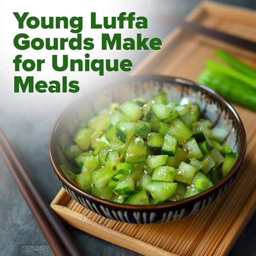 HOME GROWN Luffa Loofah Gourd Seeds, 80+ Seeds, Luffa aegyptiaca