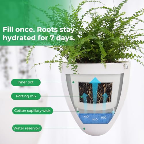 Self-Watering Hanging Planter Pot, Indoor Outdoor Plants, 6 Inch, 3 Pack