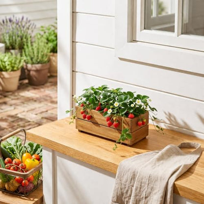 THYOI Premium Wooden Planter Box, Storage Box - 3 Colors (Natural) - color: Natural