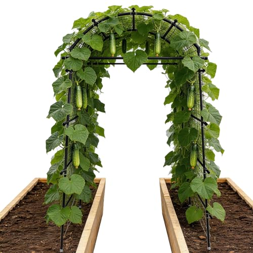 Garden Arch Trellis for Climbing Plants