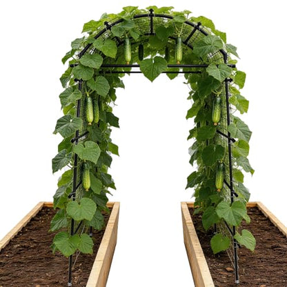 Garden Arch Trellis for Climbing Plants