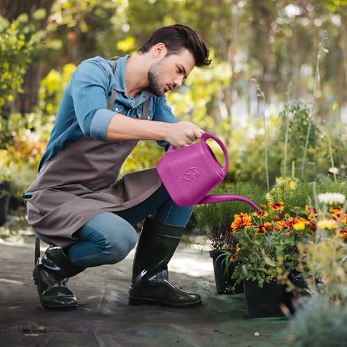 Plant Watering Can - 1/2 Gallon - Rose Red - color: Rose Red