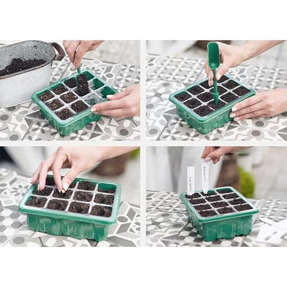6-Pack Seed Starter Tray Kit with Grow Light