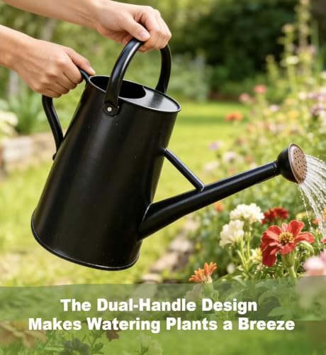 Watering Can for Outdoor&Indoor Plants，1.5 Gallon，Black - color: Black