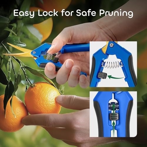1PC Pruning Shears, Titanium Coated Garden Trimming Scissors with Coil Spring, Precision Gardening Hand Pruning Snips for Bonsai, Flowers, Plants Cutting (blue,curved blade) - color: Blue
