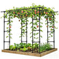 Grape Vine Trellis,Heavy Duty Metal Plant Support Trellis-96L*62 * 79H in - size: 95.7（L）*61.6(W)*78.5(H) in