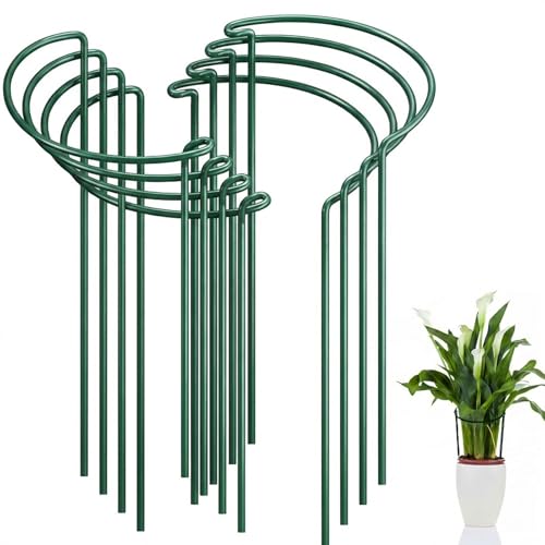 FEED GARDEN 8 Pack Plant Support Stakes, Peony Cages and Supports, Metal Garden Plant Stake(10" Wide x 24" High) Green Half Round Plant Support Rings for Outdoor Indoor Plants, Tomato, Hydrangea - size: 8 Pack-24" H