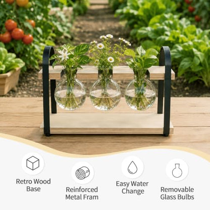 3-Bulb Plant Propagation Station, Glass Vase Terrarium, Retro White - color: White