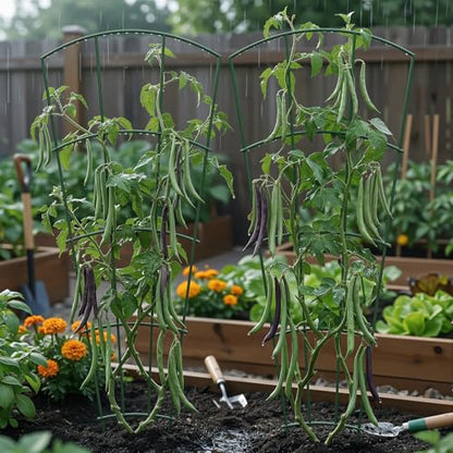 Thealyn 56" Tall Metal Plant Trellis, Climbing Plant Support, 4 Pack, Green - color: Green, size: 56 inch