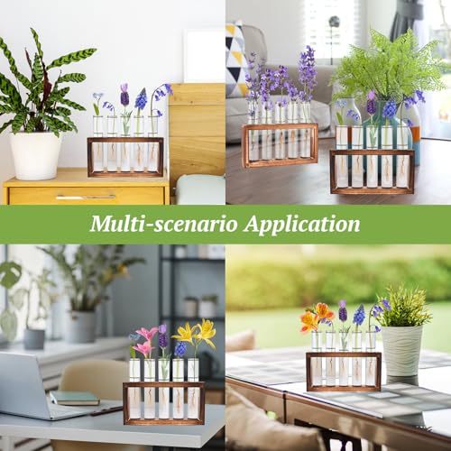 Tigvio 2pcs Desktop Glass Plant Propagation Station (10 Tubes) - size: 10 Tubes