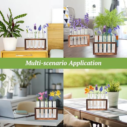 Tigvio 2pcs Desktop Glass Plant Propagation Station (10 Tubes) - size: 10 Tubes