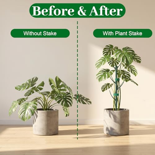 5 Pack Monstera Plant Support Upgrade Stackable Plant Stakes