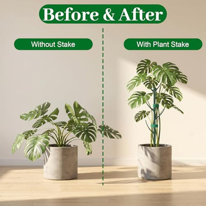 5 Pack Monstera Plant Support Upgrade Stackable Plant Stakes