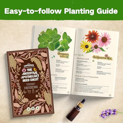 Lush&Dew Ancestral Apothecary Medicinal Tea Herb Seed Chest, Gardening Gift - style: Medicinal Herbs