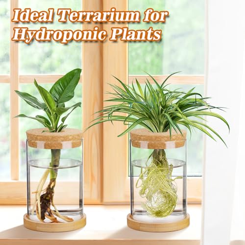 Biggun 2 Pcs Glass Plants Propagation Stations for Home Office Decor