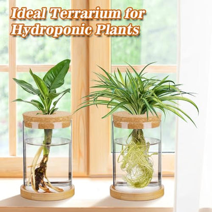 Biggun 2 Pcs Glass Plants Propagation Stations for Home Office Decor